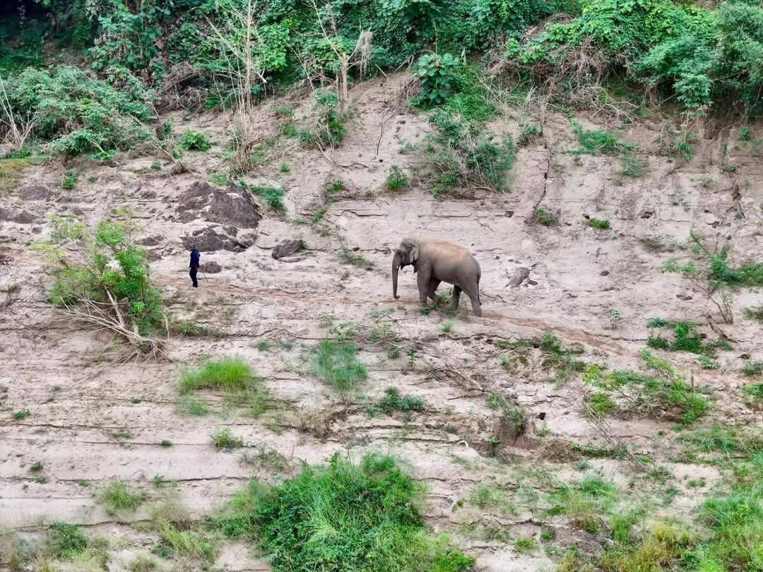 Appartamento Mekong Backpackers Muang Pakbèng Esterno foto