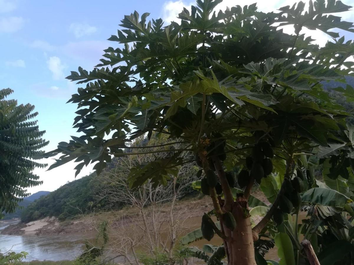 Appartamento Mekong Backpackers Muang Pakbèng Esterno foto